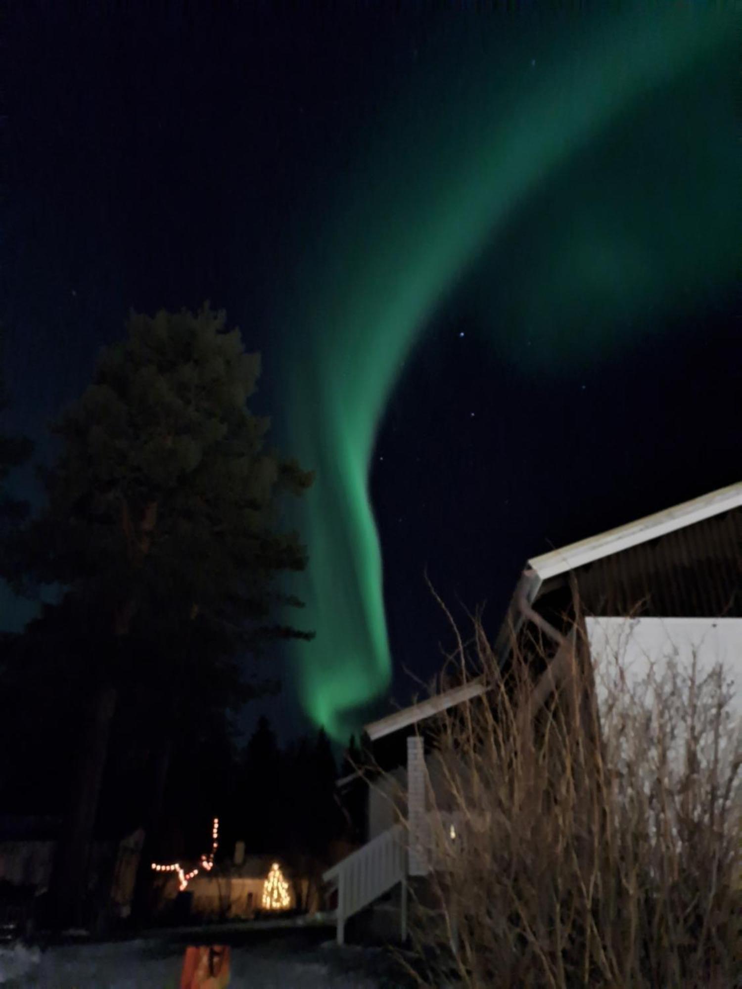 Traditional House Rovaniemi Luaran gambar